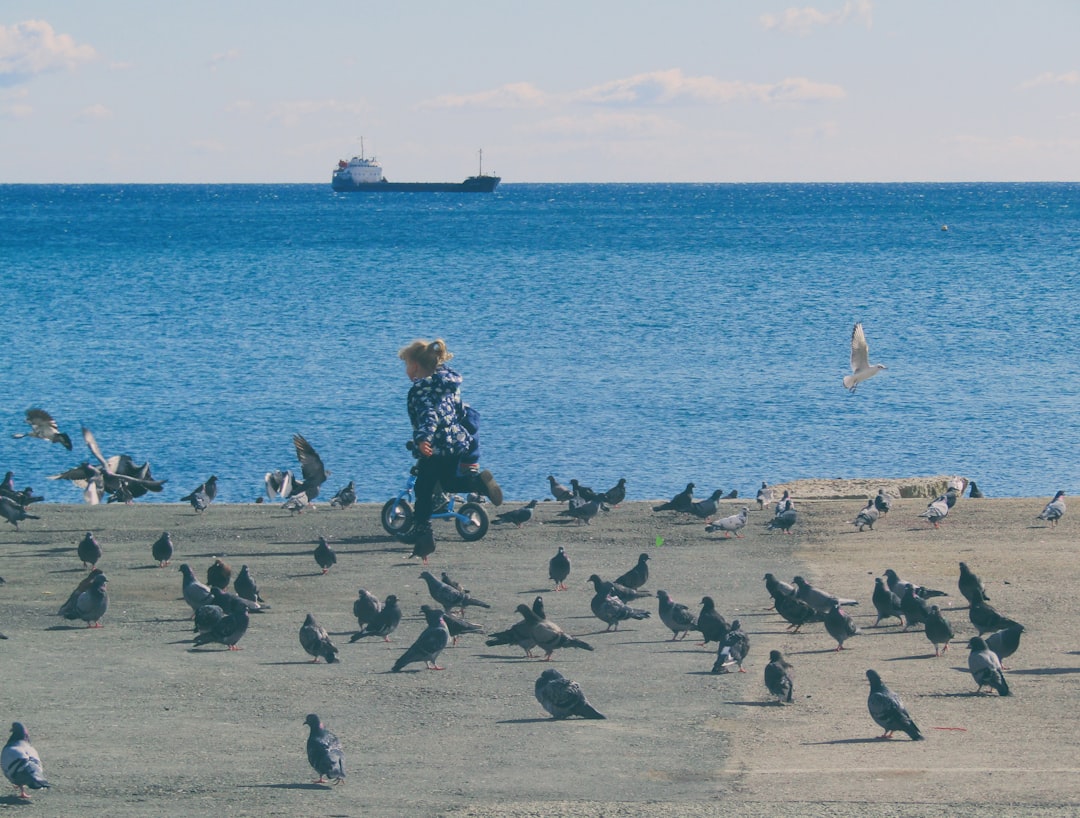 How Long Do Pigeons Live? Discover Their Lifespan